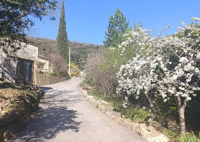 Centre Santé Bien-être Naturéconnaissance *