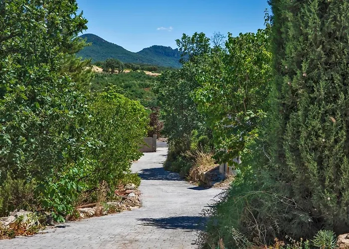 Apartamento Centre Santé Bien-être Naturéconnaissance Usclas-du-Bosc